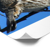 Partridge-Poster Poster (Hoek)