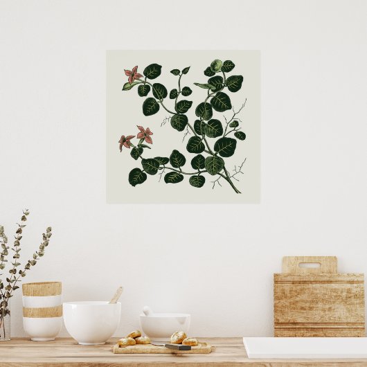 Partridgeberry Poster (Keuken)