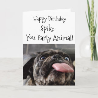 Party Animal Pug Verjaardag  Kaart