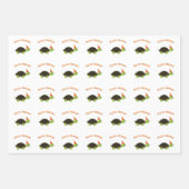 Party Animal Turtle Inpakpapier Vel (Voorkant 3)