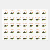 Party Animal Turtle Inpakpapier Vel (Voorkant)