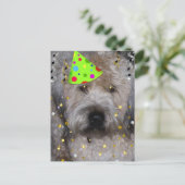 Party Animal Wheaton Terrier Briefkaart (Staand voorkant)