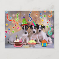 Party animals, dogs celebrating