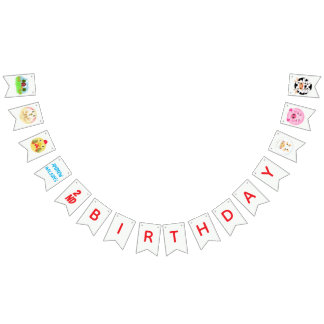 Party Animals Ready to Play Balls Rustic Farm  Vlaggetjes