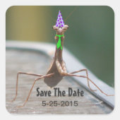 Party Bug Sticker (Voorkant)