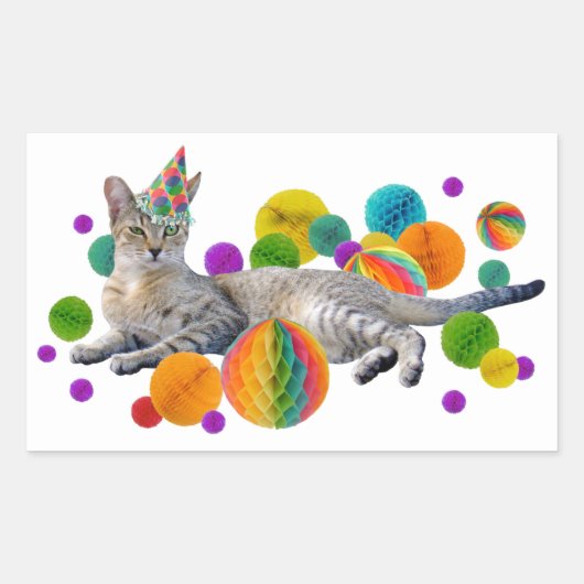 Party Cat Sticker (Voorkant)