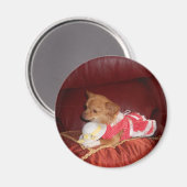 Party chi magneet (Voorkant / Achterkant)