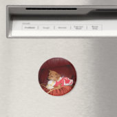 Party chi magneet (Insitu (Vaatwasser))