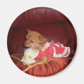 Party chi magneet (Voorkant)