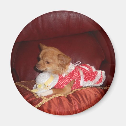 Party chi magneet (Voorkant)