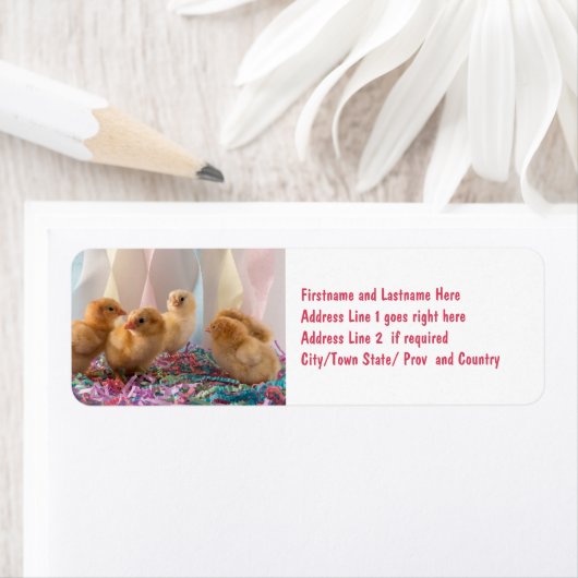 Party Chicks Yellow Baby Chickens Streamers Etiket (Insitu)