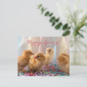 Party Chicks Yellow Baby Chickens Streamers Uitnodiging Briefkaart (Staand voorkant)