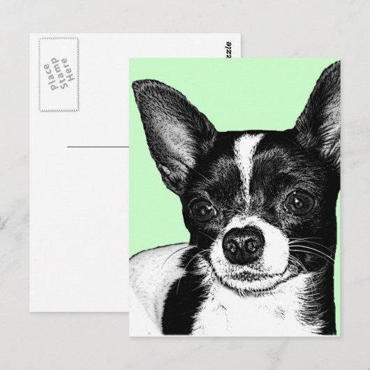 Party Chihuahua Briefkaart (Voorkant / Achterkant)