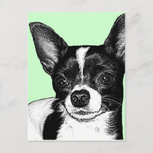 Party Chihuahua Briefkaart