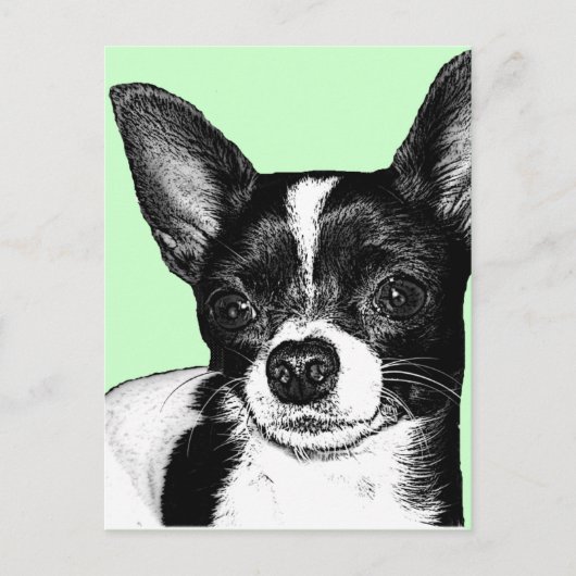 Party Chihuahua Briefkaart (Voorkant)