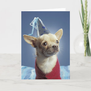 Party Dog Birthday Card Kaart