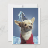 Party Dog Birthday Invitation Kaart (Voorkant)