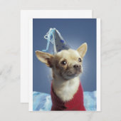 Party Dog Birthday Invitation Kaart (Voorkant / Achterkant)