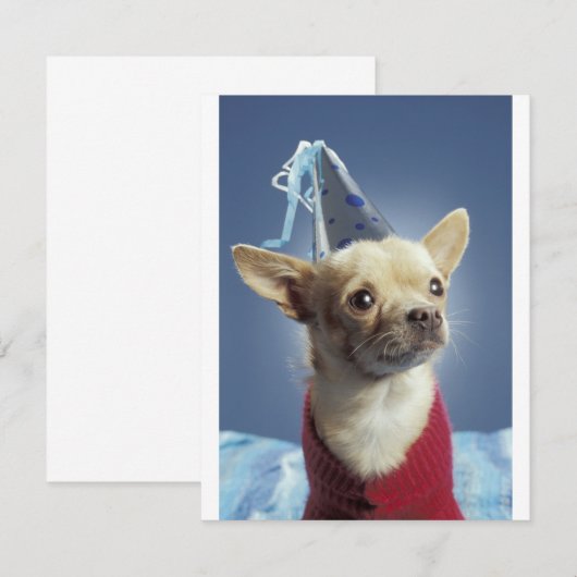 Party Dog Birthday Invitation Kaart (Voorkant / Achterkant)