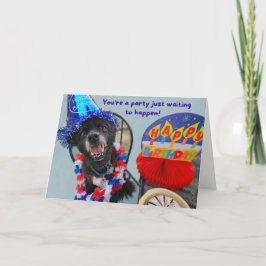 Party Dog Funny Birthday Kaart
