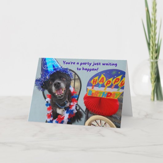 Party Dog Funny Birthday Kaart (Voorkant)