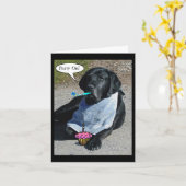 Party Dog Kaart - "Boone" (Gele Bloem)