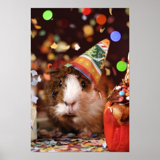 Party Guinea Pig Poster (Voorkant)