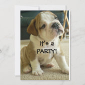Party Invitations English Bulldog Puppy Kaart (Voorkant)