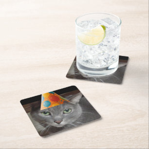 Party Pet Grey Cat Kartonnen Onderzetters