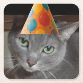 Party Pet Grey Cat Kartonnen Onderzetters (Voorkant)
