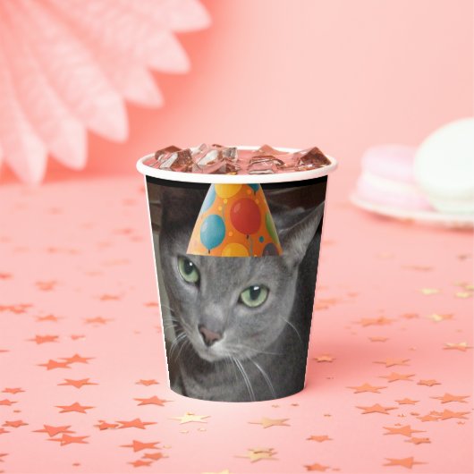 Party Pet Grey Cat Papieren Bekers (Insitu)