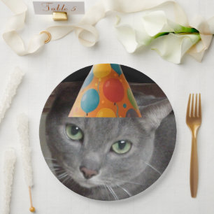 Party Pet Grey Cat Papieren Bordje