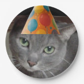 Party Pet Grey Cat Papieren Bordje (Voorkant)