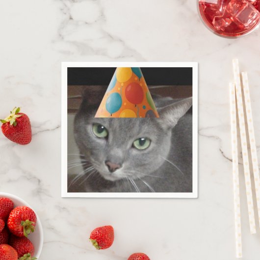 Party Pet Grey Cat Servet (Insitu)