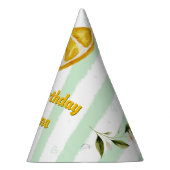 Party Pet Summer Birthday Party Collectie Feesthoedjes (Rechts)