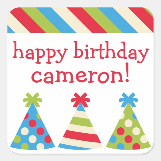 Party Petten Gepersonaliseerde Verjaardag Stickers (Voorkant)