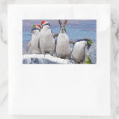 Party Pingos Sticker (Tas)