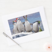 Party Pingos Sticker (Envelop)