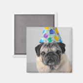 Party Pug Magneet (Voorkant / Achterkant)