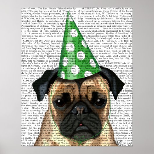 Party Pug Poster (Voorkant)