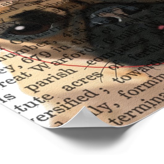 Party Pugs Pair Poster (Hoek)