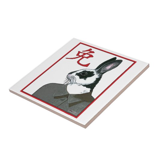 Party Rabbit Tegeltje (Zijkant)