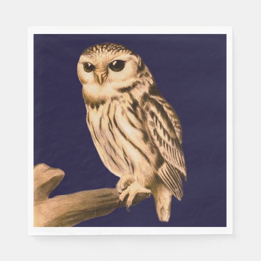 Party servetten wilde vogels natuur Uil (Voorkant)