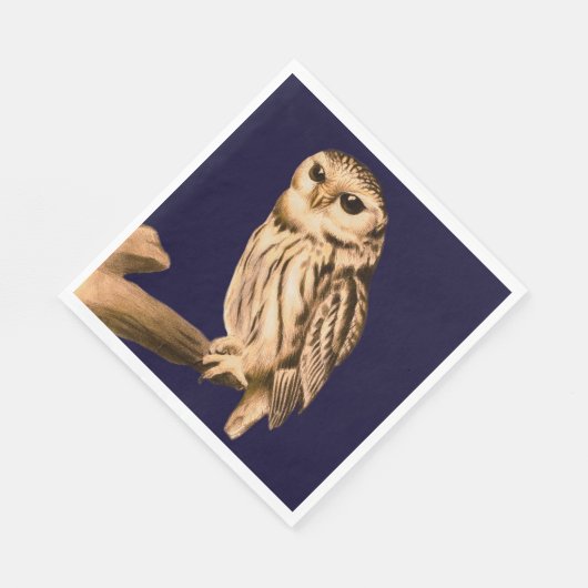 Party servetten wilde vogels natuur Uil (Hoek)