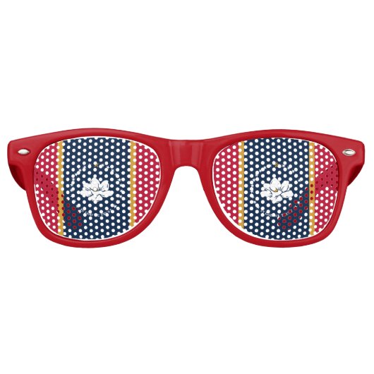 Party Shades Sunglasses with flag of Mississippi Retro Zonnebril (Voorkant)