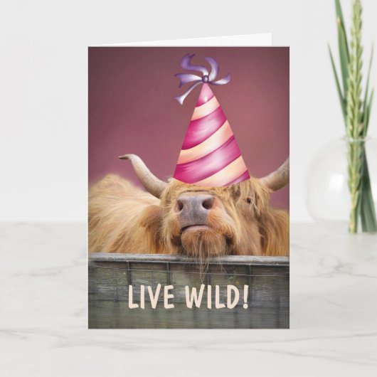 Party Steer Live Wild Verjaardag Kaart (Voorkant)