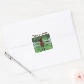 Party Time Appaloosa Horse Vierkante Sticker (Envelop)
