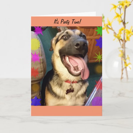 Party Time Happy Dog Verjaardag Kaart (Gele Bloem)