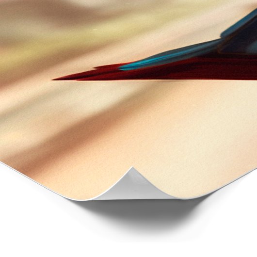 Parvati Poster (Hoek)