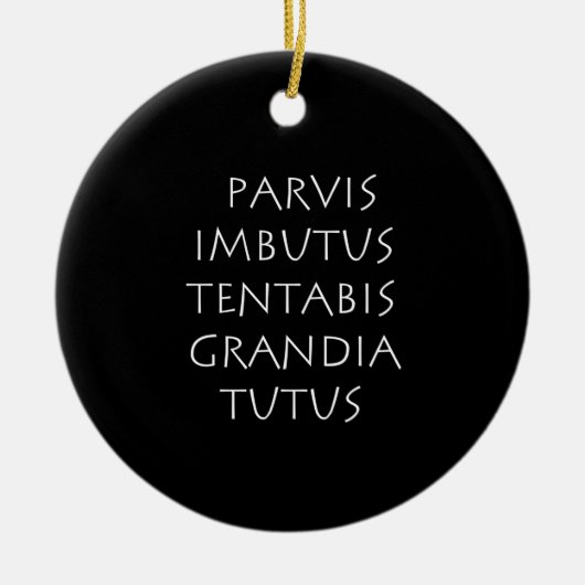 Parvis imbutus tentabis grandia tutus keramisch ornament (Voorkant)